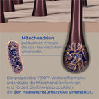 Revive+ Densifying Serum for Men - 30 Tage Anwendung
