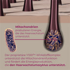 Revive+ Densifying Serum for Women - 30 Tage Anwendung